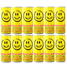 Load image into Gallery viewer, PARTY ALL THE TIME!! (12 Pack) TROPICAL CITRUS!!